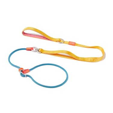 HowGo Slip Lead Dog Leash with Padded Handles Lightweight Dog Training Leash with 360Swivel AntiTangle HeavyDuty Lead and Collar for Large Medium and Small NoPull Walking Multicolor 55FT