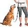 The Buddy System Adjustable Hands Free Dog Leash HandFree Leash for Running Jogging Walking Hiking and Training Service Dogs Versatile All Dog Sizes Made in USA Large Black