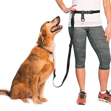 The Buddy System Adjustable Hands Free Dog Leash HandFree Leash for Running Jogging Walking Hiking and Training Service Dogs Versatile All Dog Sizes Made in USA Large Black