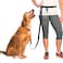 The Buddy System Adjustable Hands Free Dog Leash HandFree Leash for Running Jogging Walking Hiking and Training Service Dogs Versatile All Dog Sizes Made in USA Large Black
