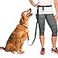 The Buddy System Adjustable Hands Free Dog Leash HandFree Leash for Running Jogging Walking Hiking and Training Service Dogs Versatile All Dog Sizes Made in USA Regular Black