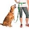 The Buddy System Hands Free Dog Leash Adjustable Leash for Running Jogging Training and Service Dogs Great for Small Medium and Large Dogs Made in USA Green Regular Belt 22 40 Waist