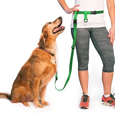 The Buddy System Hands Free Dog Leash Adjustable Leash for Running Jogging Training and Service Dogs Great for Small Medium and Large Dogs Made in USA Green Regular Belt 22 40 Waist