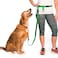 The Buddy System Hands Free Dog Leash Adjustable Leash for Running Jogging Training and Service Dogs Great for Small Medium and Large Dogs Made in USA Green Regular Belt 22 40 Waist