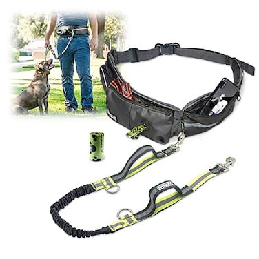 TAKSIN The Ultimate Hands Free Dog Leash System for Walking Running Hiking Training Reflective Bungee Leash Treat Holder Poop Bag Dispenser for Small Medium Large Dogs Grey Pack