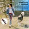 The Buddy System Hands Free Dog Leash Adjustable Leash for Running Jogging Training and Service Dogs Great for Small Medium and Large Dogs Made in USA Red Regular Belt 22 40 Waist