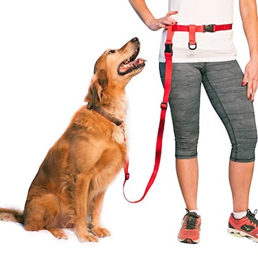 The Buddy System Hands Free Dog Leash Adjustable Leash for Running Jogging Training and Service Dogs Great for Small Medium and Large Dogs Made in USA Red Regular Belt 22 40 Waist