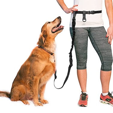 The Buddy System Hands Free Dog Leash Adjustable Leash for Running Jogging Training and Service Dog Made in USA Bundle Leash Lunge Buster Regular Belt 22 40 Waist