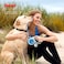 Flexi New Comfort Tape Grey Black Extra Small 3m Retractable Dog LeashLead for Dogs up to 12kgs26lbs