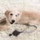 Alipis Automatic Retractable Dog Leash Telescopic Traction Rope Large Size Comfortable Handle for Walking Jogging Hiking