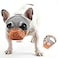 CILKUS Short Snout Dog Muzzles Bulldog Muzzle Adjustable Breathable Mesh Can Stick Out Tongue and Drink Water AntiBiting and Training Dog M 165 173 Orange