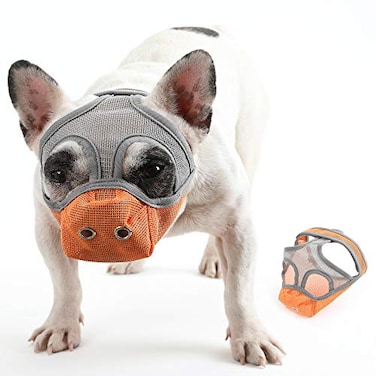 CILKUS Short Snout Dog Muzzles Bulldog Muzzle Adjustable Breathable Mesh Can Stick Out Tongue and Drink Water AntiBiting and Training Dog M 165 173 Orange