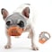 CILKUS Short Snout Dog Muzzles Bulldog Muzzle Adjustable Breathable Mesh Can Stick Out Tongue and Drink Water AntiBiting and Training Dog M 165 173 Orange