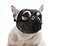 CILKUS Short Snout Dog Muzzles Bulldog Muzzle Adjustable Breathable Mesh Can Stick Out Tongue and Drink Water AntiBiting and Training Dog S 153161 Black
