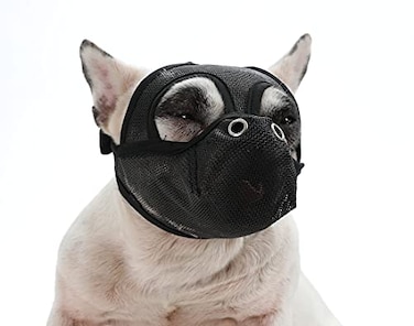 CILKUS Short Snout Dog Muzzles Bulldog Muzzle Adjustable Breathable Mesh Can Stick Out Tongue and Drink Water AntiBiting and Training Dog S 153161 Black