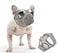 CILKUS Short Snout Dog Muzzles Bulldog Muzzle Adjustable Breathable Mesh Can Stick Out Tongue and Drink Water AntiBiting and Training Dog L 196205 Grey