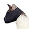 Downtown Pet Supply Cat Muzzle for Grooming Gentle and Soft Muzzle Cat Grooming Supplies Nylon Medium
