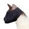 Downtown Pet Supply Cat Muzzle for Grooming Gentle and Soft Muzzle Cat Grooming Supplies Nylon Medium