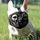 JYHY Short Snout Dog Muzzle Adjustable Breathable Mesh Bulldog Muzzle for Biting Chewing Licking Grooming Dog MaskBlack M