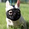 JYHY Short Snout Dog Muzzle Adjustable Breathable Mesh Bulldog Muzzle for Biting Chewing Licking Grooming Dog MaskBlack M