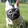JYHY Short Snout Dog Muzzle Adjustable Breathable Mesh Bulldog Muzzle for Biting Chewing Barking Training Grooming Dog MaskGreyEyehole M