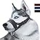 Lepark Dog Muzzle for Small Medium Large Dogs Prevent from Biting Barking and Chewing Adjustable Loop MBlack