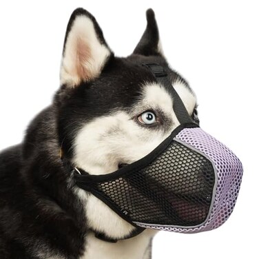 Mayerzon Dog Muzzle Patented Mesh Soft Muzzles for Large Medium Small Dogs Poodle Husky Doberman Labrador Retriever for Scavenging Grooming Biting Chewing Breathable Reflective Mussel with Collar