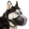 Mayerzon Dog Muzzle Patented Mesh Soft Muzzles for Large Medium Small Dogs Poodle Husky Doberman Labrador Retriever for Scavenging Grooming Biting Chewing Breathable Reflective Mussel with Collar