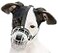 PetriStor 05 Dog Chrome Metal Muzzles Wire Basket Adjustable Leather Straps ircumference is 6682 in the Length is 1923 in