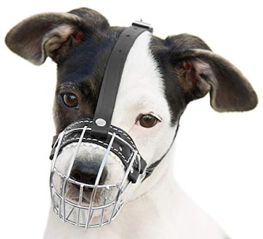 PetriStor 05 Dog Chrome Metal Muzzles Wire Basket Adjustable Leather Straps ircumference is 6682 in the Length is 1923 in