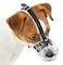PetriStor Dog Chrome Metal Muzzles Wire Basket Adjustable Leather Straps 0 Circumference is 5962 in Length is 2123 in