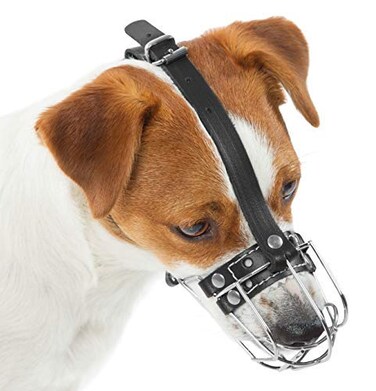 PetriStor Dog Chrome Metal Muzzles Wire Basket Adjustable Leather Straps 0 Circumference is 5962 in Length is 2123 in