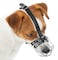 PetriStor Dog Chrome Metal Muzzles Wire Basket Adjustable Leather Straps 0 Circumference is 5962 in Length is 2123 in
