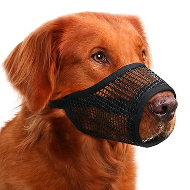 Mayerzon Dog Muzzle Soft Mesh Muzzles for Small Medium Large Dogs Chihuahua Poodle Husky Labrador Retriever Breathable Dog Mouth Guard for Biting Chewing Grooming Allow Panting DrinkingXL Black