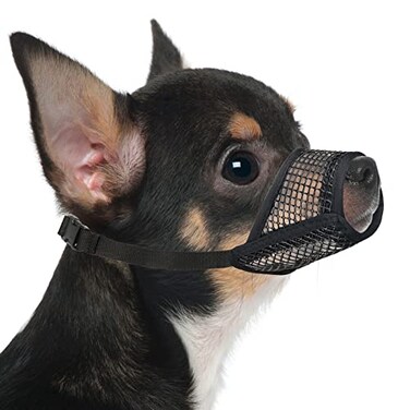 Mayerzon Dog Muzzle Soft Mesh Muzzles for Small Medium Large Dogs Chihuahua Poodle Husky Labrador Retriever Breathable Dog Mouth Guard for Biting Chewing Grooming Allow Panting DrinkingXXS Black