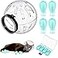 LEIFIDE Cat Muzzle for Grooming Cat Adjustable Hood with Paw Covers Kitten Breathable Anti Bite Muzzles Anti Scratch Boots Silicone Pussy Shoes Boots Kitten Paw Protector for Pet Bathing ShavingLarge