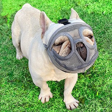 TANDD Short Snout Dog Muzzle Adjustable Breathable Mesh Bulldog Muzzle for Barking Biting Chewing Training GreyNot Tongue Out XS
