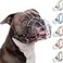 BRONZEDOG Pitbull Dog Muzzle Breathable Metal Basket for Large Dogs Amstaff Staffordshire Terrier Biting Chewing Barking Leather Black
