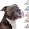 BRONZEDOG Pitbull Dog Muzzle Breathable Metal Basket for Large Dogs Amstaff Staffordshire Terrier Biting Chewing Barking Leather Black