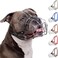 BRONZEDOG Pitbull Dog Muzzle Breathable Metal Basket for Large Dogs Amstaff Staffordshire Terrier Biting Chewing Barking Leather Black