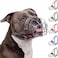 BRONZEDOG Pitbull Dog Muzzle Breathable Metal Basket for Large Dogs Amstaff Staffordshire Terrier Biting Chewing Barking Leather Gray