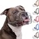 BRONZEDOG Pitbull Dog Muzzle Breathable Metal Basket for Large Dogs Amstaff Staffordshire Terrier Biting Chewing Barking Leather Gray
