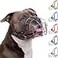 BRONZEDOG Pitbull Dog Muzzle Breathable Metal Basket for Large Dogs Amstaff Staffordshire Terrier Biting Chewing Barking Leather Dark Brown