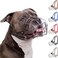 BRONZEDOG Pitbull Dog Muzzle Breathable Metal Basket for Large Dogs Amstaff Staffordshire Terrier Biting Chewing Barking Leather Dark Brown