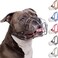 BRONZEDOG Pitbull Dog Muzzle Breathable Metal Basket for Large Dogs Amstaff Staffordshire Terrier Biting Chewing Barking Leather Dark Brown