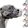 BRONZEDOG Pitbull Dog Muzzle Metal Mask Amstaff Wire Basket Pit Bull Adjustable Leather Straps for Large Dogs Steel