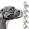 BRONZEDOG Pitbull Dog Muzzle Metal Mask Amstaff Wire Basket Pit Bull Adjustable Leather Straps for Large Dogs Graphite Metal