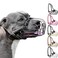 BRONZEDOG Pitbull Dog Muzzle Metal Mask Amstaff Wire Basket Pit Bull Adjustable Leather Straps for Large Dogs Graphite Metal