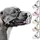 BRONZEDOG Pitbull Dog Muzzle Metal Mask Amstaff Wire Basket Pit Bull Adjustable Leather Straps for Large Dogs Black