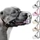 BRONZEDOG Pitbull Dog Muzzle Metal Mask Amstaff Wire Basket Pit Bull Adjustable Leather Straps for Large Dogs Black